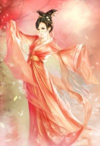追妻江湖路